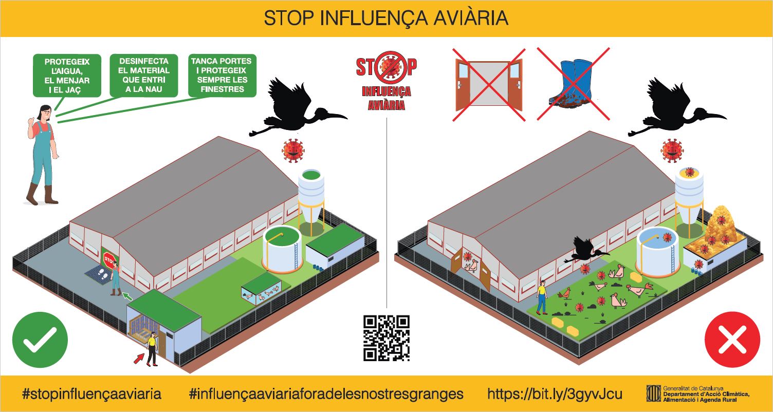 Stop influença aviària