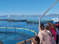 Alumnes de l’escola Narcís Monturiol visiten la piscifactoria i fan tallers per conèixer el món pesquer