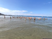 Roses celebrarà l’11 d’agost la gran festa de la natació, concentrant en un sol dia les tradicionals travessies 
